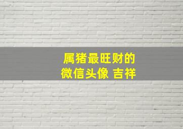 属猪最旺财的微信头像 吉祥